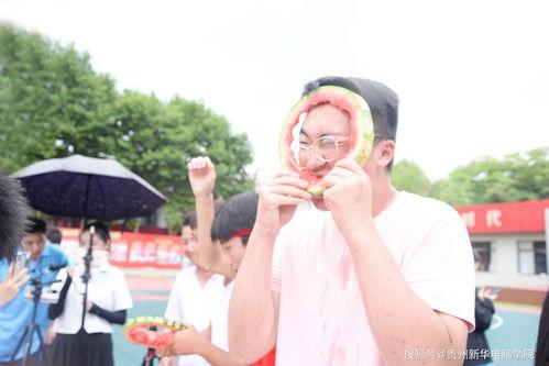 吃瓜娱乐学校,网红明星的摇篮与成长之路